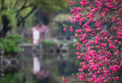 ​一句简短的风景朋友圈(68句)