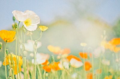​4月1日朋友圈愚人节祝福简短(精选71句)