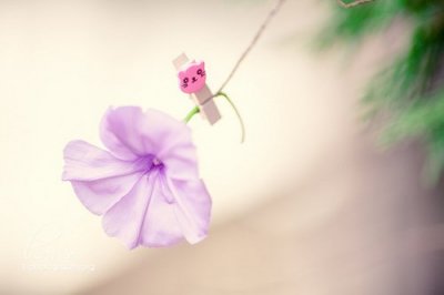​幽默性签名81句