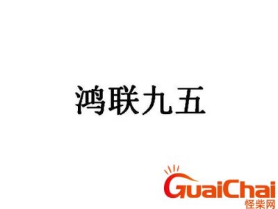 ​鸿联九五公司是做什么的？鸿联九五是什么公司？