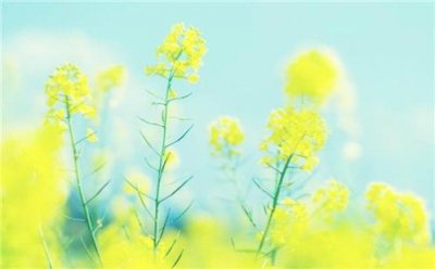​适合发朋友圈生活短语