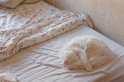 中秋节给客户发的短信