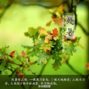 ​给父亲的生日祝福短信