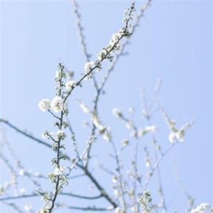 病人出院祝福语[42句]：您是人生路上的使者…