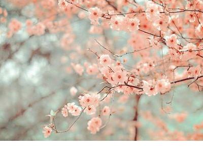 中秋节发圈语