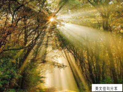 ​给陌生人的祝福语简短(送给陌生人暖心的短句)