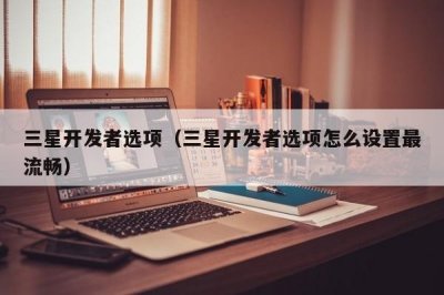 ​三星开发者选项（三星开发者选项怎么设置最流畅）