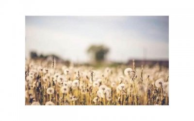 ​最新经典情感语录说说短句(朋友圈美丽文字经典语录)