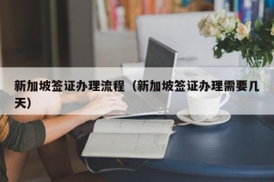 ​新加坡签证办理流程（新加坡签证办理需要几天）