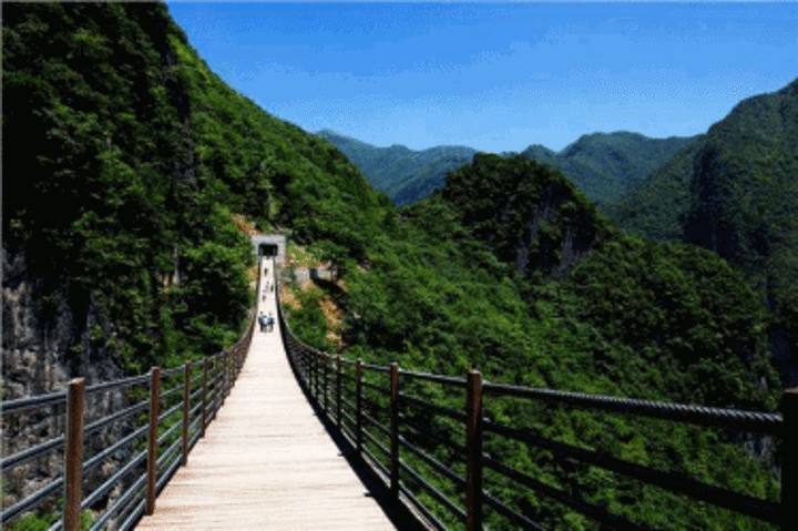 铁山坪森林公园有什么好玩的（铁山坪森林公园）(6)