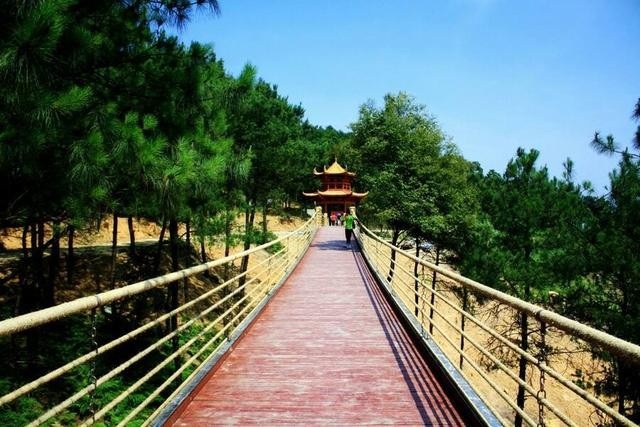 铁山坪森林公园有什么好玩的（铁山坪森林公园）(4)