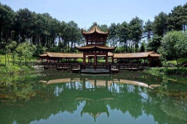 铁山坪森林公园有什么好玩的（铁山坪森林公园）(8)