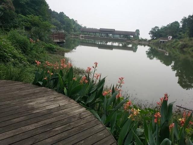 铁山坪森林公园有什么好玩的（铁山坪森林公园）(7)