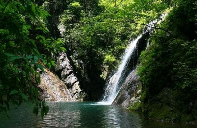 铁山坪森林公园有什么好玩的（铁山坪森林公园）(5)