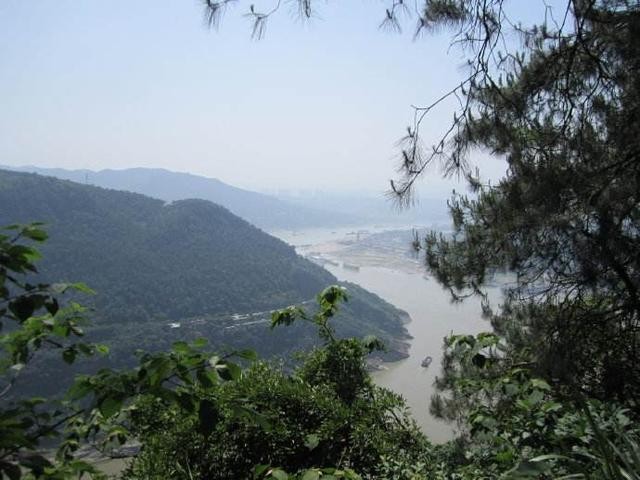 铁山坪森林公园有什么好玩的（铁山坪森林公园）(9)