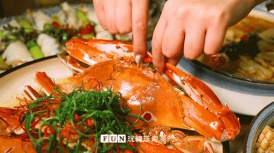 ​爱情施工队 东篱菊隐 爱情施工队林放