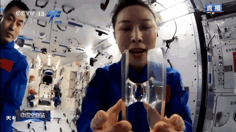 太空课堂都有哪些太空知识（还记得你上过的天宫课堂吗）(11)