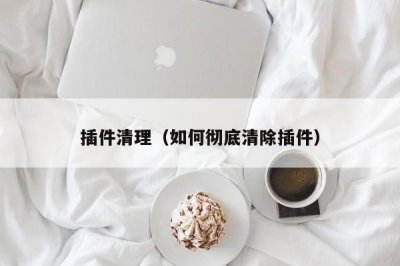 ​插件清理（如何彻底清除插件）