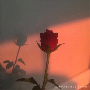 ​在外打工太多的无奈和心酸说说(累了的伤感个性说说)