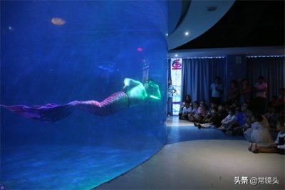 ​海洋馆最油腻“美人鱼”走红，是一名胖小伙，体重超过165斤