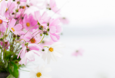 ​中秋节的祝福语