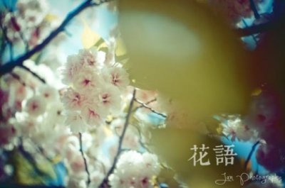 ​庆祝端午佳节祝福语
