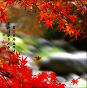 ​12月再见早安心语 十四日[30句]