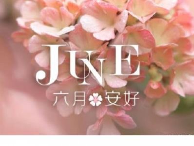 ​关于晚安的句子唯美短句（关于酒的优美句子）