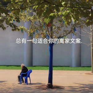 ​回家的喜悦离家的不舍文案(总有一句适合你的离家文案)