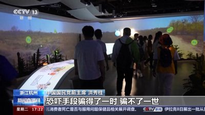 ​中国国民党前主席洪秀柱：恐吓手段骗得了一时骗不了一世