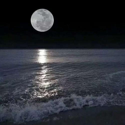 主持人祝福语台词