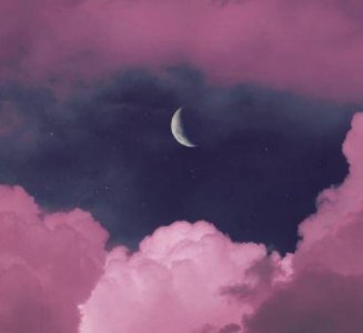 ​赞美女性的励志句子