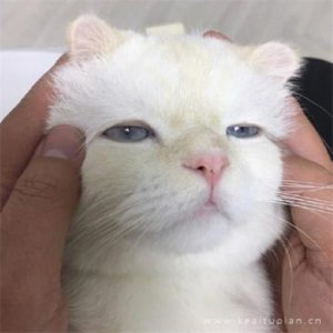 ​早安物语 简短正能量 微信早安心语正能量简短