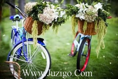 ​38妇女节送给妇女姐妹祝福语