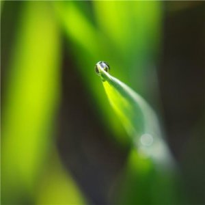 ​高考加油励志文艺短句 高考满分作文800励志