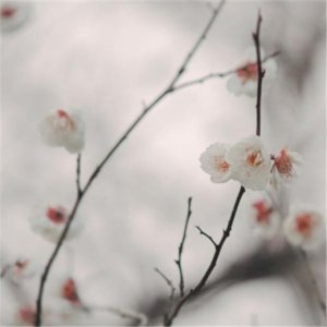 ​父亲节祝福短信语简单（19年端午节祝福语）