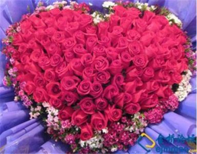 ​父母金婚祝福语大全 恭祝新婚有涵养的贺词