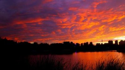 ​七夕送给单身狗的话 送给对象的七夕祝福语200字