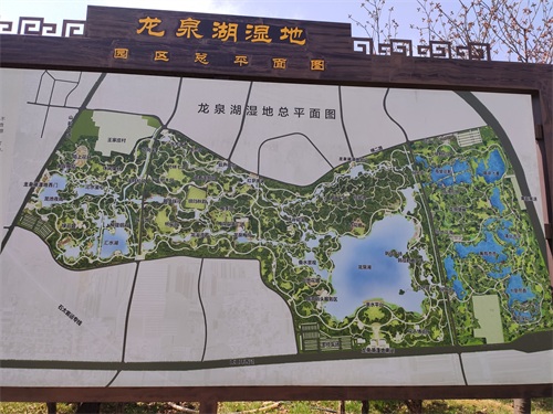 龙泉湖湿地公园-石家庄周边自驾郊游踏青赏花野餐亲子推荐