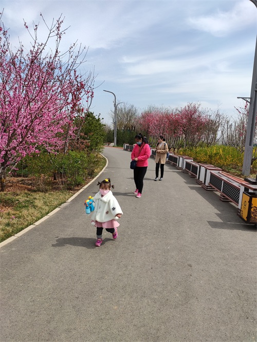 龙泉湖湿地公园-石家庄周边自驾郊游踏青赏花野餐亲子推荐