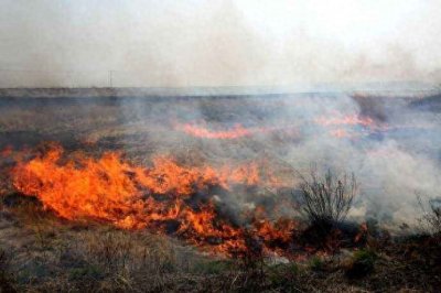 ​烧荒——春天里的一把火