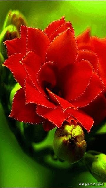 一句话经典励志带字唯美图片