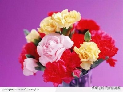 ​一句话经典励志带字唯美图片