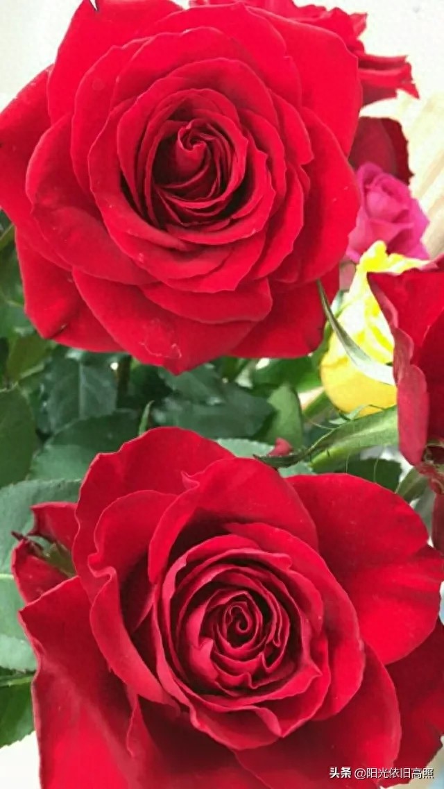 一句话经典励志带字唯美图片