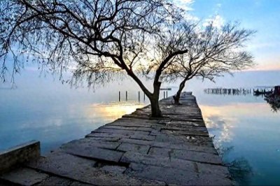 ​谁在吐槽苏州没有“夜生活”？