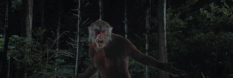 中国十大恐怖片排行,排第一的你敢看吗-(中国十大恐怖片排行榜吓死人)