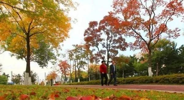 立冬前快去看看!请收好这份威海爆款赏秋地图!