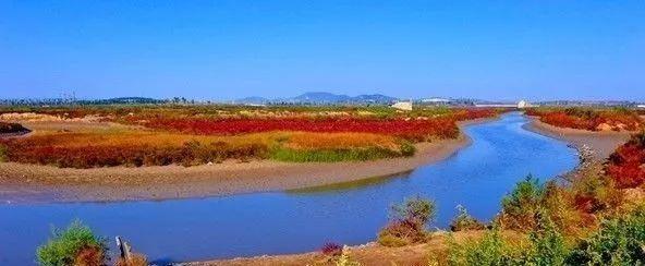 立冬前快去看看!请收好这份威海爆款赏秋地图!