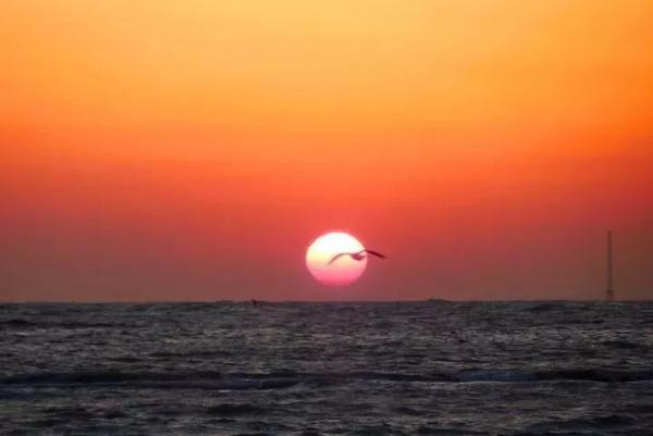 立冬前快去看看!请收好这份威海爆款赏秋地图!