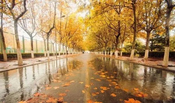 立冬前快去看看!请收好这份威海爆款赏秋地图!